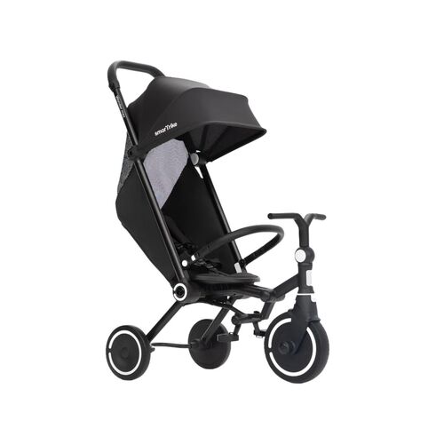 SmarTrike Wonder Max