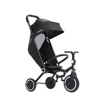 SmarTrike Wonder Max